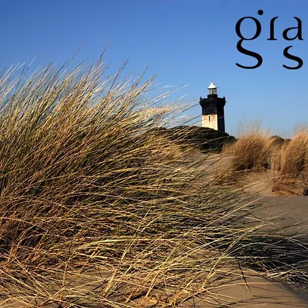 La Mimosette Joli 1 Confort Proche De La Appartamento Le Grau-du-Roi