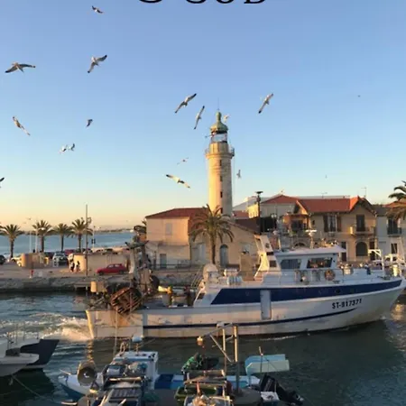 La Mimosette Joli 1 Confort Proche De La