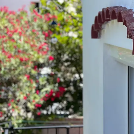 La Mimosette Cosy Avec Terrasse Proche شقة *