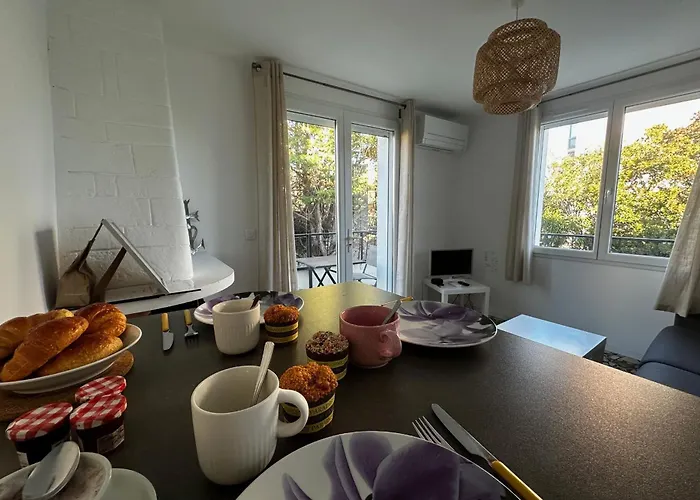 La Mimosette Joli 1 Confort Proche De La Appartement