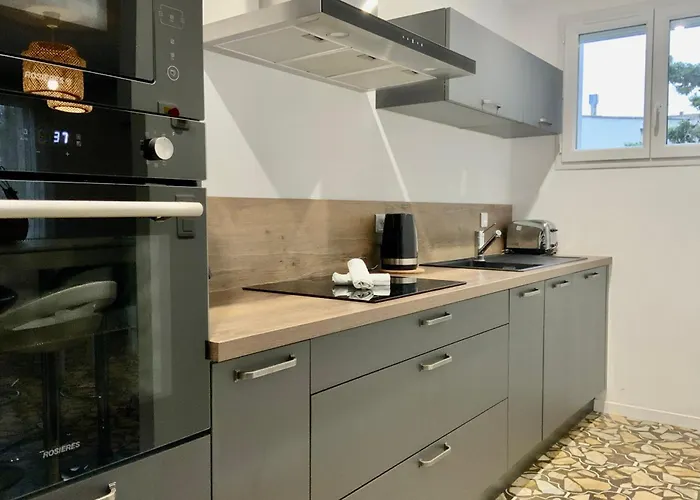 La Mimosette Joli 1 Confort Proche De La Appartement