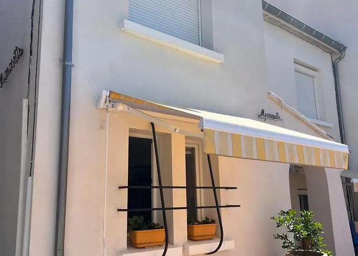 Appartement La Mimosette Joli 1 Confort Proche De La *
